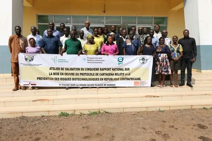 Centrafrique :Validation du 5ème rapports du Protocole de Cartagena. 631624416 1473567851436228 3331951397211446137 n